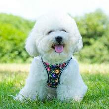 Bộ dây nịt và dây xích cho chó có đệm lưới mềm phản quang có thể điều chỉnh, phù hợp cho chó vừa và nhỏ - Nhiều màu - Xem 6