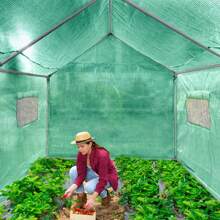 Froadp HDPE+LDPE Film Greenhouse+Galvanized Steel Tubes, With Window, For Tomatoes, Weatherproof, UV Protection (Green) - 3x2x2m - View 6