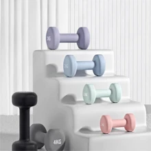 Dumbbell Women's Fitness Home Exercise Equipment Indoor Yoga Practice Arm And Hip Muscle Kettlebell Strength Training A Pair