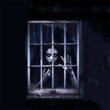 万圣节鬼窗帘万圣节窗户剪影恐怖女性男性血鬼骷髅窗户遮盖万圣节窗户海报装饰品适用于室内室外派对装饰 - 彩色 - 查看 11