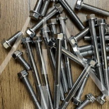 Chrome Screws Engine Cover Cbx250 Twister Xr250 Tornado - 銀色 - 查看 2