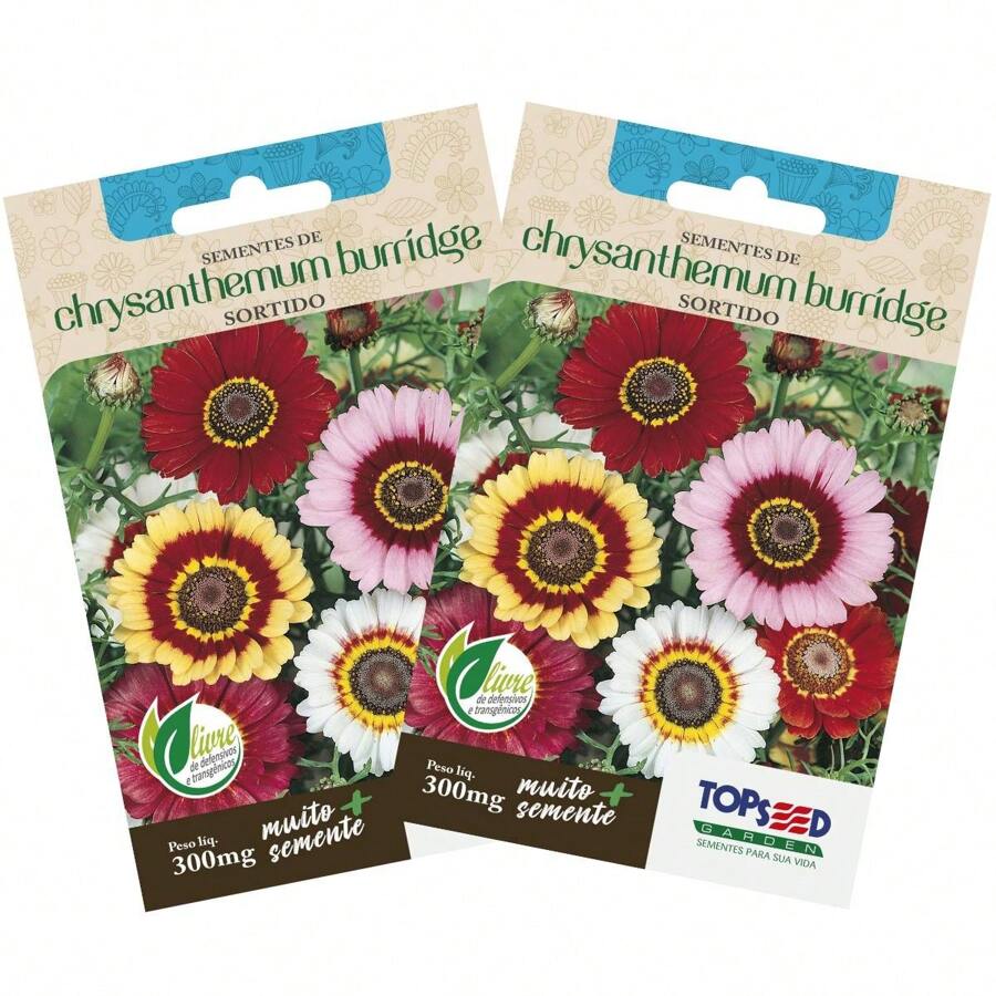 2X Chrysanthemum Burridge Seeds (Assorted) TOPSEED - 杏色 - 查看 1