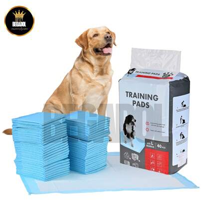 Pañal Almohadilla Entrenamiento Para Perro Y Gato 40pz 60x60