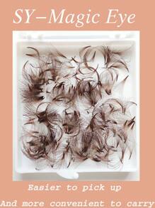 Brown Color Eyelash Extension,500 Fans Per Box,12D,Thickness 0.07mm,Sharp Narrow Stem Premade Fans,Cluster Eyelashes,Natural & Soft,Hand-Grafted False Eyelashes Lash Clusters,Eye Lash Clusters,Individual Eyelashes,Lashes,Fake Lashes