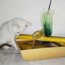 Handmade Water Fountain For Pets Splash-Free Drinker Natural Bamboo Spout For Dogs And Cats Automatic Drinker Bivolt Made With Bamboo Reservoir With 1.4 Liter Capacity - Beige - View 11