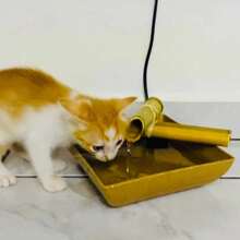 Handmade Water Fountain For Pets Splash-Free Drinker Natural Bamboo Spout For Dogs And Cats Automatic Drinker Bivolt Made With Bamboo Reservoir With 1.4 Liter Capacity - Beige - View 4