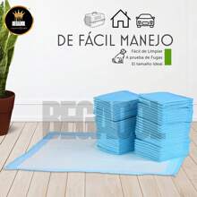 Pañal Almohadilla Entrenamiento Para Perro Y Gato 100pz Ch