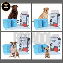 Pañal Almohadilla Entrenamiento Para Perro Y Gato 100pz Ch