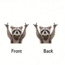 1/3pcs Cute Raccoon Acrylic Pendant Decoration, Suitable For Car, Home, Backpack, And Key Chain Accessories - Clear - View 8