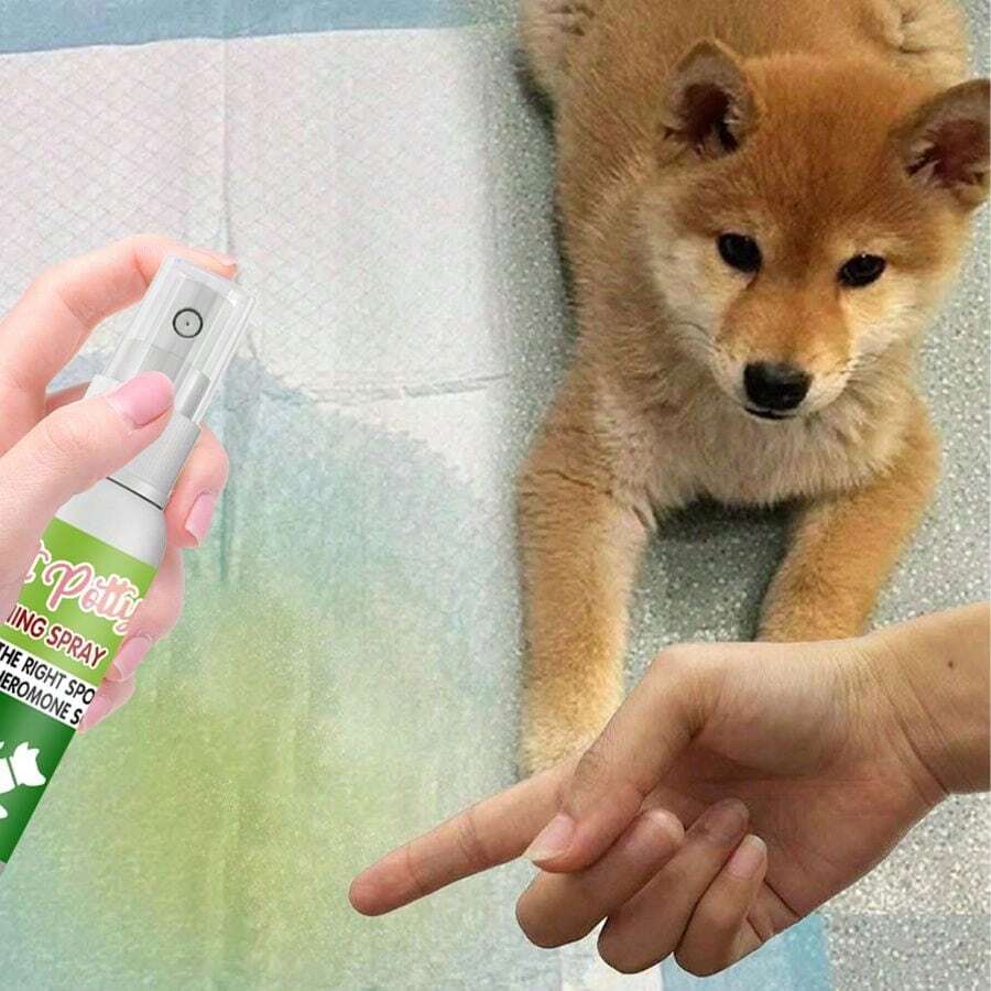 1pc Pet Urine Training Spray, Attracts Cats/Dogs To Urinate In One