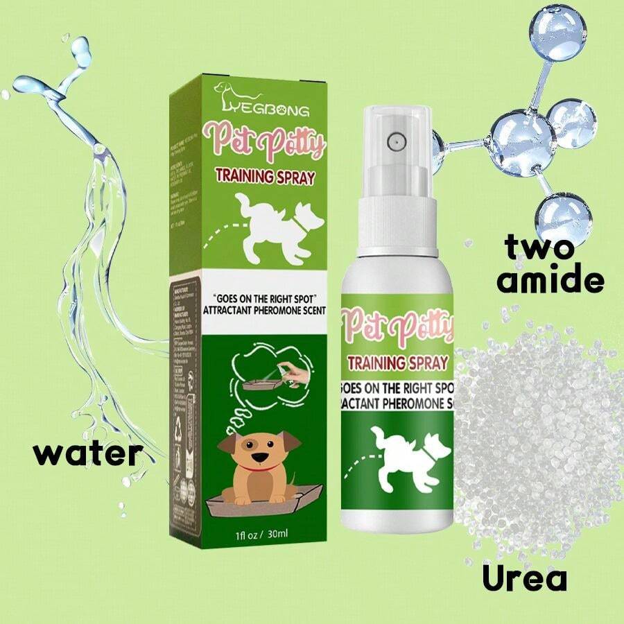 Urinauffangvorrichtung Für Hunde - Praktischer Pipi-Aufnahmestab Für Unterwegs