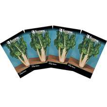 4X White Lyon Chard Seeds FELTRIN - 杏色 - 查看 2