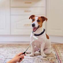 Back Scratcher Extendable Metal Portable Back Scratcher For Men Women Adults, Telescoping Back Massager With PVC Handles, Stocking Stuffers Gadgets,Elderly/Elders/Perfect Gift For Birthday/Christmas, For Fishing/Camping/Travel