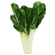 4X White Lyon Chard Seeds FELTRIN - 杏色 - 查看 4