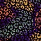 Multicolor