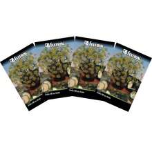 4X FELTRIN Dill Seeds - 杏色 - 查看 1
