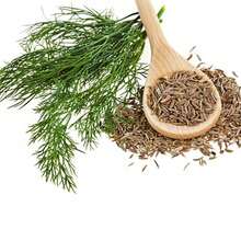 4X FELTRIN Dill Seeds - 杏色 - 查看 6