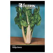 4X White Lyon Chard Seeds FELTRIN - 杏色 - 查看 3