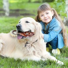 Dog Toys For Aggressive Chewers, Interactive Dog Toys For Training And Cleaning, Suitable For Medium And Large Dogs