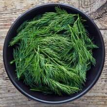 4X FELTRIN Dill Seeds - 杏色 - 查看 4