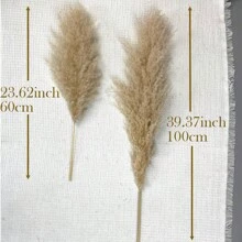 10/20/30 Stücke 60/100/80 cm hohe beige flauschige Deluxe Pampasgras Stiele, trockener Pampasgras Strauß um Boho & Landhausstil in Ihren Raum zu bringen - Pampasgras ist eine ideale Wahl für Blumenarrangements, Heimdekoration, Abschluss, Homecoming/Vasen, Hochzeiten & um eine Boho-Atmosphäre Zuhause zu schaffen. Perfekt für Halloween & Hochzeitsdekoration, Valentinstag, Geschenke Geburtstag, Herbstdekoration, Künstliche Pflanzen
