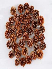 1盒天然松果，干花装饰，适用于客厅、摄影道具、DIY插花、圣诞花环、家居装饰、生日圣诞装饰、房间装饰、冬季装饰 - 原色 - 查看 2