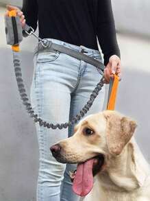 1 Laisse Pour Chien, Avec Élasticité Et Fils Réfléchissants, Convient Pour Courir Et Promener Des Chiens En Plein Air