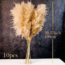 10/20/30 Stücke 60/100/80 cm hohe beige flauschige Deluxe Pampasgras Stiele, trockener Pampasgras Strauß um Boho & Landhausstil in Ihren Raum zu bringen - Pampasgras ist eine ideale Wahl für Blumenarrangements, Heimdekoration, Abschluss, Homecoming/Vasen, Hochzeiten & um eine Boho-Atmosphäre Zuhause zu schaffen. Perfekt für Halloween & Hochzeitsdekoration, Valentinstag, Geschenke Geburtstag, Herbstdekoration, Künstliche Pflanzen