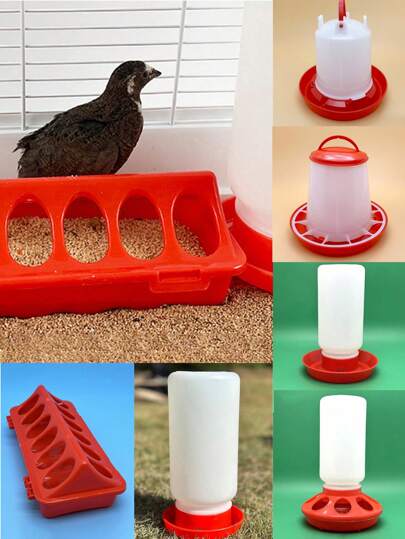 1 件装小型红白塑料喂鸟器和饮水器，适用于小规模喂食，厚水瓶大容量自动饮水器，适用于鸽子、鸡和其他家禽日常饮用