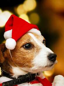 1pc Christmas Decoration Pet Christmas Hat Dog Small Plush Hat - Red - View 4