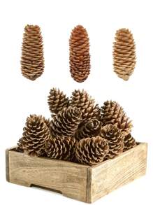 6Pcs/Pack Brown Artificial Pine Cones, Big Christmas Pine Cone Ornaments,Big Spruce Pine Cones For Xmas Garland Decor,Fall Garland,Christmas Thanksgiving Decor,Home Accent Decor,Fall Party Decor,Garden Decor,Rattan Decor,Wedding Decor