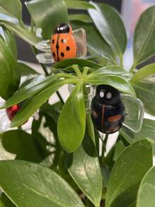 3/12 piezas Pinzas para plantas con diseño de mariquita - multicolor - Ver 4