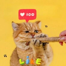 Cat Chew Toy Tooth Grinding Stick, Durable Interactive Tooth Cleaning Toy For Cats, Kittens. - Khaki - View 9