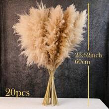 10/20/30 Stücke 60/100/80 cm hohe beige flauschige Deluxe Pampasgras Stiele, trockener Pampasgras Strauß um Boho & Landhausstil in Ihren Raum zu bringen - Pampasgras ist eine ideale Wahl für Blumenarrangements, Heimdekoration, Abschluss, Homecoming/Vasen, Hochzeiten & um eine Boho-Atmosphäre Zuhause zu schaffen. Perfekt für Halloween & Hochzeitsdekoration, Valentinstag, Geschenke Geburtstag, Herbstdekoration, Künstliche Pflanzen