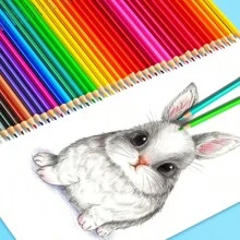 48pcs Colored Pencils, Suitable For Adults And Students For Handmade Arts & Crafts, Family Painting, Christmas Card Coloring, DIY Sketching Office, School, Painting, Students, Markers, Stationery, Boys, Girls, School Supplies, Christmas Painting, Coloring Supplies, Kids Crafts, Coloured Pencils, Markers, Painting For Kids, Craft Kids, Office School Supplies, Art Set For Kids, Boy Toy, School Supplies For School, Coloured Pencil,School Supplies,Colouring Pencils,Toys For Girls,Back To School