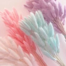 60 Stems Bohemian Style Artificial Flowers Bouquet - Natural Dried Bunny Tails & Pampas Grass, Dandelion Flowers - Home, Wedding, Office, Cafe Decoration - Valentine's And Mother's Day Gift Gifts Birthday Graduation,Fall Decor,Autumn - Multicolor - View 7