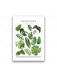 1 Stück tropische Pflanzenidentifikations-Poster, botanische Wandkunst Leinwandgemälde, florale Bilder, Blätter Muster für Wohnzimmer Wohndekoration ohne Rahmen