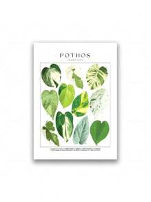 1 Stück tropische Pflanzenidentifikations-Poster, botanische Wandkunst Leinwandgemälde, florale Bilder, Blätter Muster für Wohnzimmer Wohndekoration ohne Rahmen