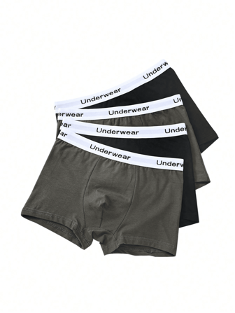 Tween Boy Children's 4 Packs Solid Color Underwear