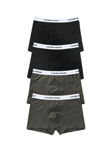 Tween Boy Children's 4 Packs Solid Color Underwear - Multicolor - View 1