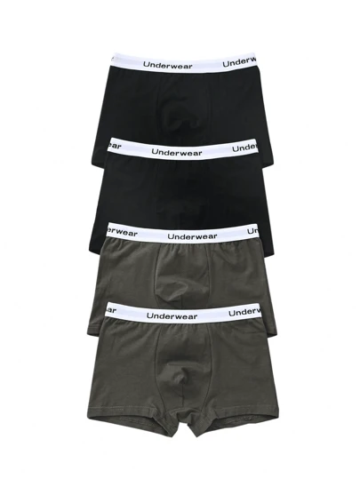Tween Boy Children's 4 Packs Solid Color Underwear