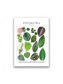 1 Stück tropische Pflanzenidentifikations-Poster, botanische Wandkunst Leinwandgemälde, florale Bilder, Blätter Muster für Wohnzimmer Wohndekoration ohne Rahmen