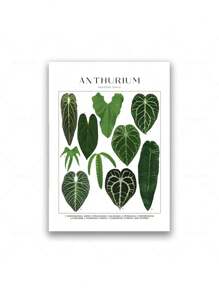 1 Stück tropische Pflanzenidentifikations-Poster, botanische Wandkunst Leinwandgemälde, florale Bilder, Blätter Muster für Wohnzimmer Wohndekoration ohne Rahmen