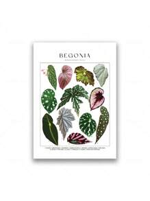 1 Stück tropische Pflanzenidentifikations-Poster, botanische Wandkunst Leinwandgemälde, florale Bilder, Blätter Muster für Wohnzimmer Wohndekoration ohne Rahmen