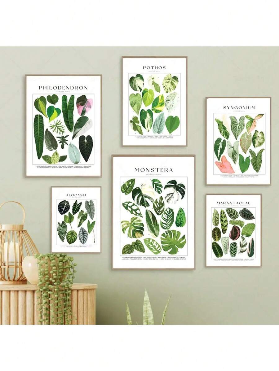 1 Stück tropische Pflanzenidentifikations-Poster, botanische Wandkunst Leinwandgemälde, florale Bilder, Blätter Muster für Wohnzimmer Wohndekoration ohne Rahmen