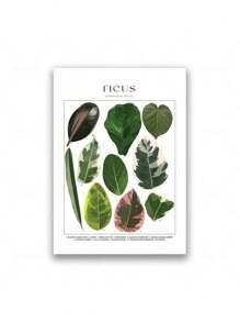 1 Stück tropische Pflanzenidentifikations-Poster, botanische Wandkunst Leinwandgemälde, florale Bilder, Blätter Muster für Wohnzimmer Wohndekoration ohne Rahmen