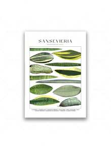 1 Stück tropische Pflanzenidentifikations-Poster, botanische Wandkunst Leinwandgemälde, florale Bilder, Blätter Muster für Wohnzimmer Wohndekoration ohne Rahmen