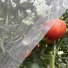 1 Pack, Insect Netting HDPE 60 Mesh, Polyethylene Material,Easy To Cut,Transparent  Mesh , Fruit Cover Screen Protection Mesh Netting Greenhouse Plants Protection Net,Greenhouse Insect Proof Net, Plant And Fruit Protective Film