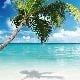 藍色的海