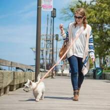 1 件手工编织双色 PVC 材料牵引绳，二合一设计，免提跑步狗绳，复古奢华风格狗绳 - 彩色 - 查看 10